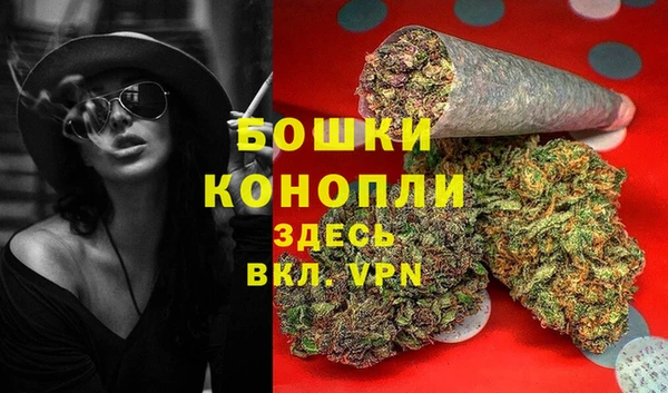 стаф Приозерск