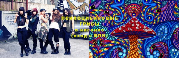 мдма Протвино