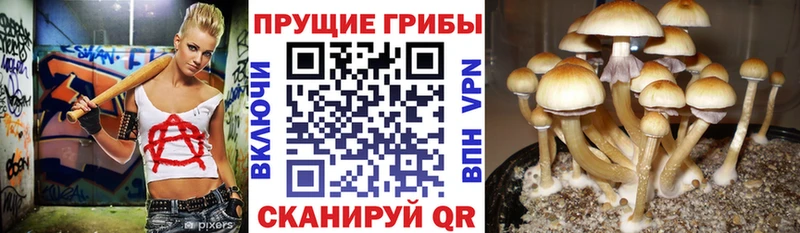 Галлюциногенные грибы ЛСД  Канаш 